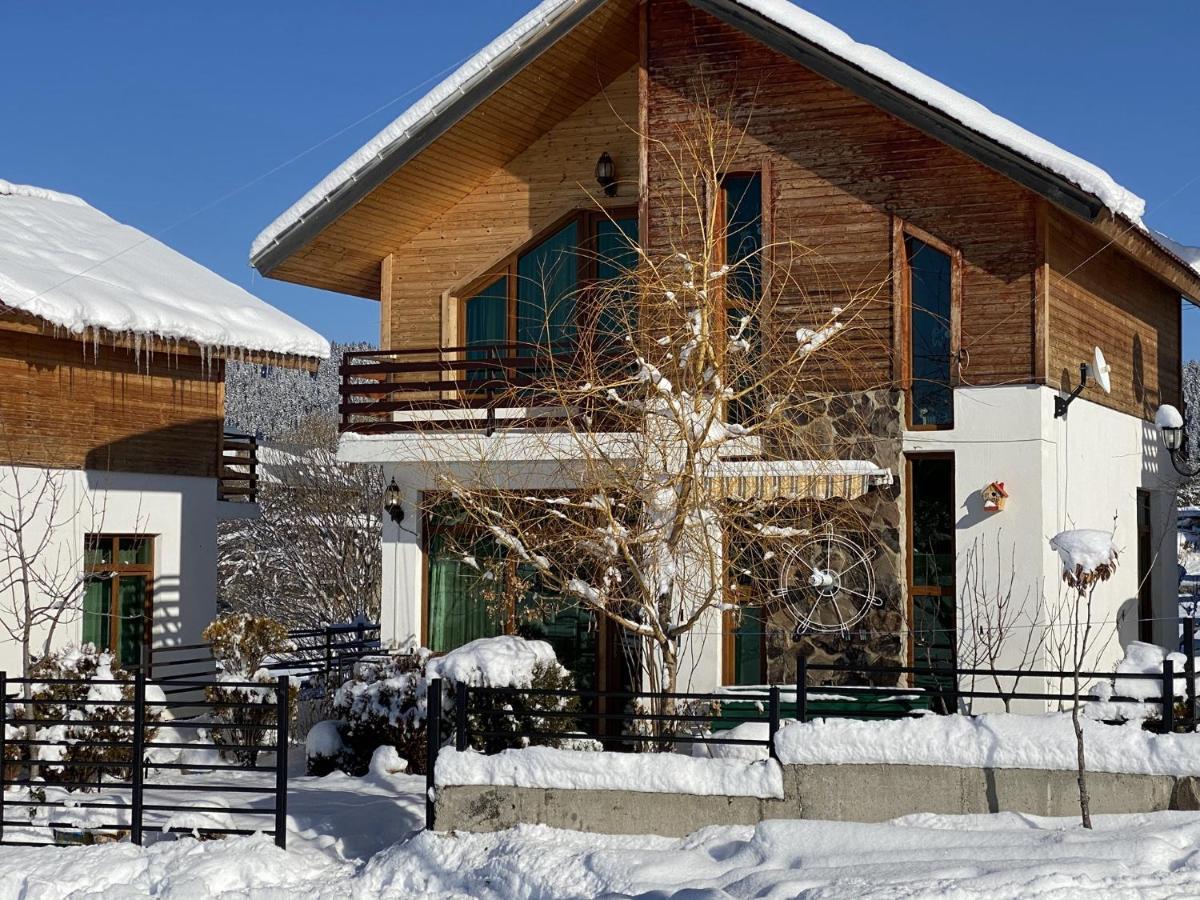 Villa Sun Valley Bakuriani Εξωτερικό φωτογραφία